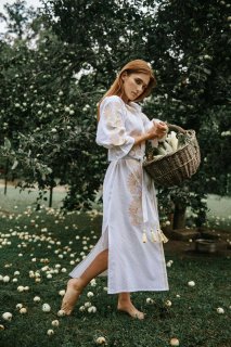 Сукня вишита "Муза" – елегантність і натхнення в українському стилі.