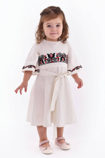 Embroidered dress for girl...