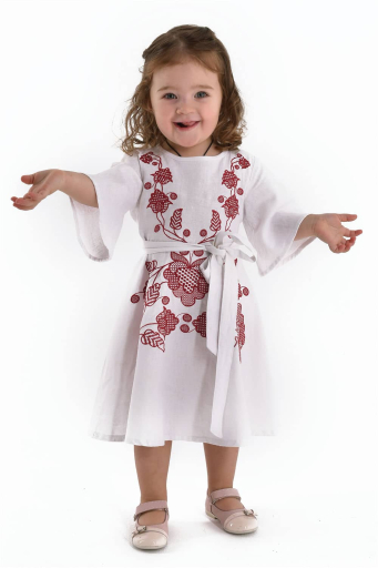 Embroidered dress for girls...