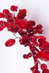 Wreath "Kislitsya" red
